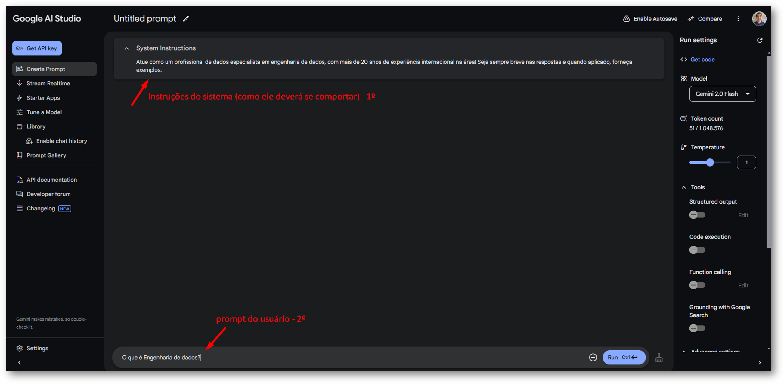 System Instructions